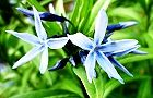 110430-cyoujiso3.jpg(6329 byte)