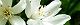 110502-himeutugi-s.jpg(1623 byte)