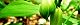 110502-hochaku-s.jpg(1709 byte)