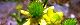110502-kekitune-s.jpg(1648 byte)