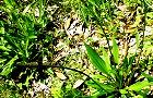 110504-hera3.jpg(9410 byte)