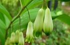 110504-hochaku2.jpg(4198 byte)