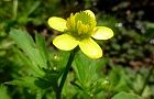 110504-kekitune.jpg(4895 byte)