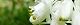 110510-mituba-s.jpg(1779 byte)