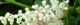 100703-ryoubu-s.jpg(1550 byte)