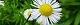 100710-himejion-s.jpg(1589 byte)
