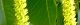 100715-nankin-haze-s.jpg(1423 byte)