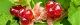 100715-noitigo-s.jpg(1630 byte)