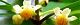 100716-mookoku-s.jpg(1646 byte)
