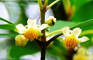 100716-mookoku.jpg(7425 byte)