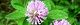 100717-akatume-s.jpg(1635 byte)