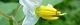100730-warunasu-s.jpg(1379 byte)
