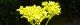 100811-ominaesi-s.jpg(1466 byte)