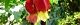 100817-ukituri-s.jpg(1787 byte)