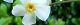 100901-teika-s.jpg(1460 byte)