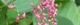 100921-mizuhiki-s.jpg(1339 byte)