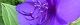 101005-nobotan-s.jpg(1375 byte)