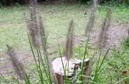 101008-tikara.jpg(8862 byte)