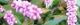 101016-inutade-s.jpg(1589 byte)