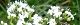 101016-otokoenisi-s.jpg(1785 byte)