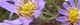 101016-sion-s.jpg(1546 byte)