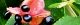 101018-gonzui-s.jpg(1657 byte)
