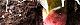 101022-nyouga-s.jpg(1692 byte)