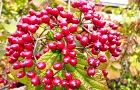 101023-kamazumi.jpg(7567 byte)