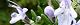 101026-rozumari-s.jpg(1694 byte)