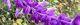 101116-mekisikan-s.jpg(1714 byte)
