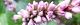 101118-tadeai-s.jpg(1650 byte)