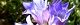 101119-rindo-s.jpg(1701 byte)