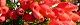 101127-erika-s.jpg(1746 byte)