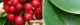 101128-kurogane-s.jpg(1427 byte)