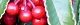 101203-manryo-s.jpg(1541 byte)