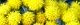 101204-isokiku-s.jpg(1657 byte)
